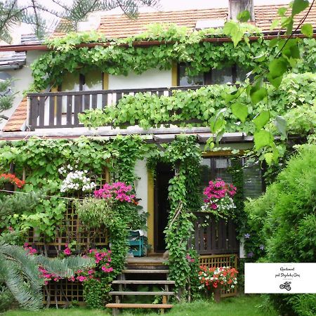 ילנייה גורה Apartament Pod Strzelecka Gora מראה חיצוני תמונה