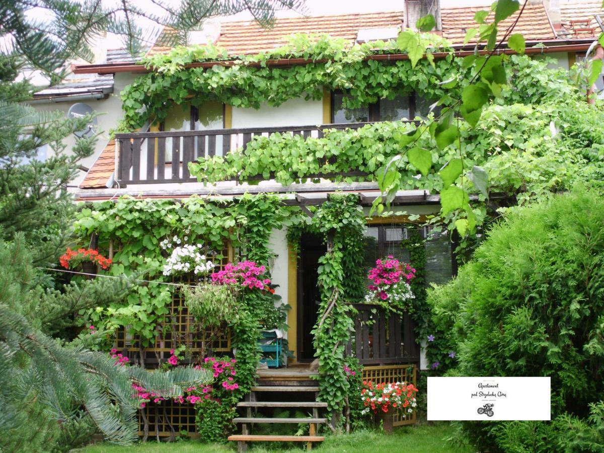 ילנייה גורה Apartament Pod Strzelecka Gora מראה חיצוני תמונה